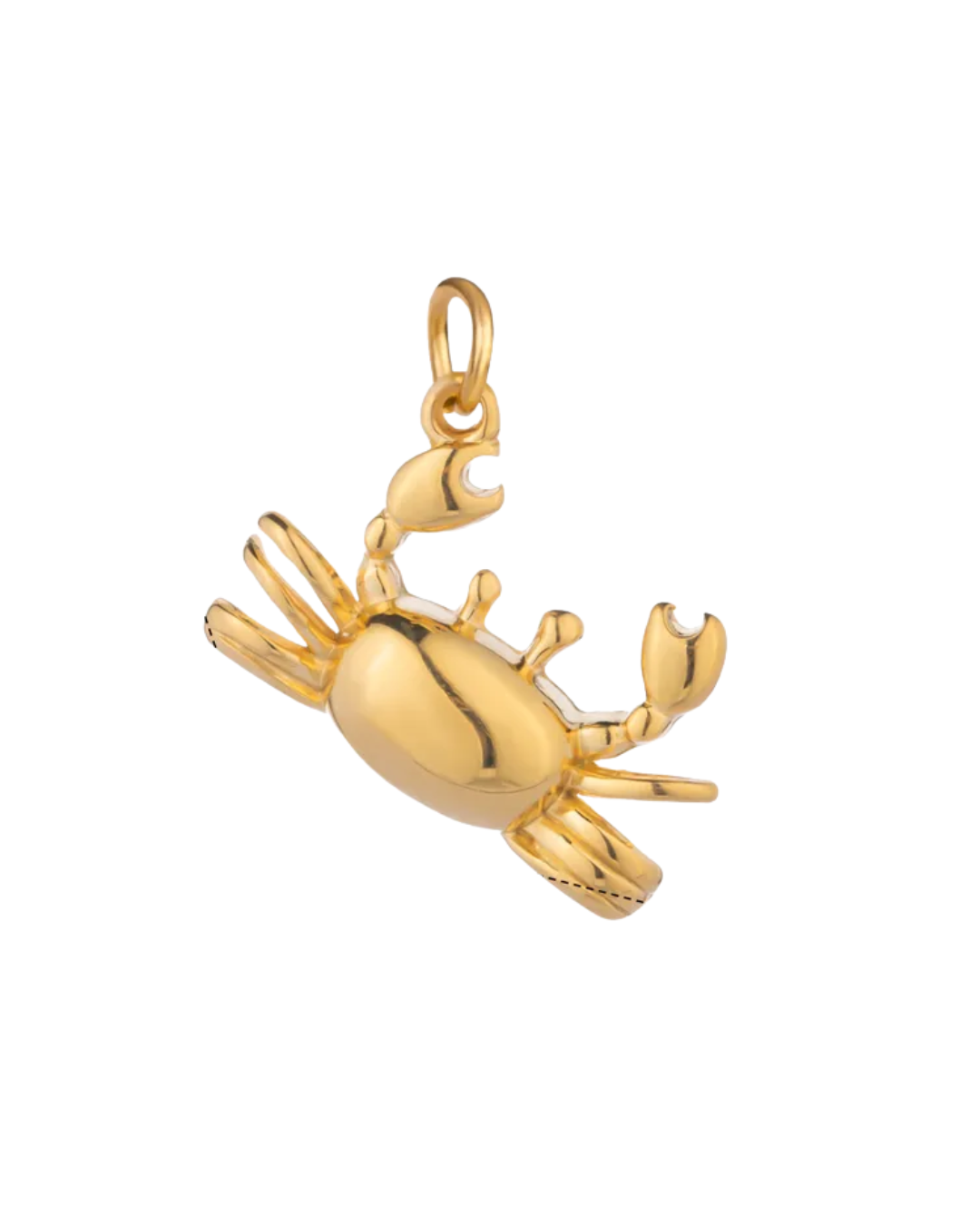 Resilient Claw Charm