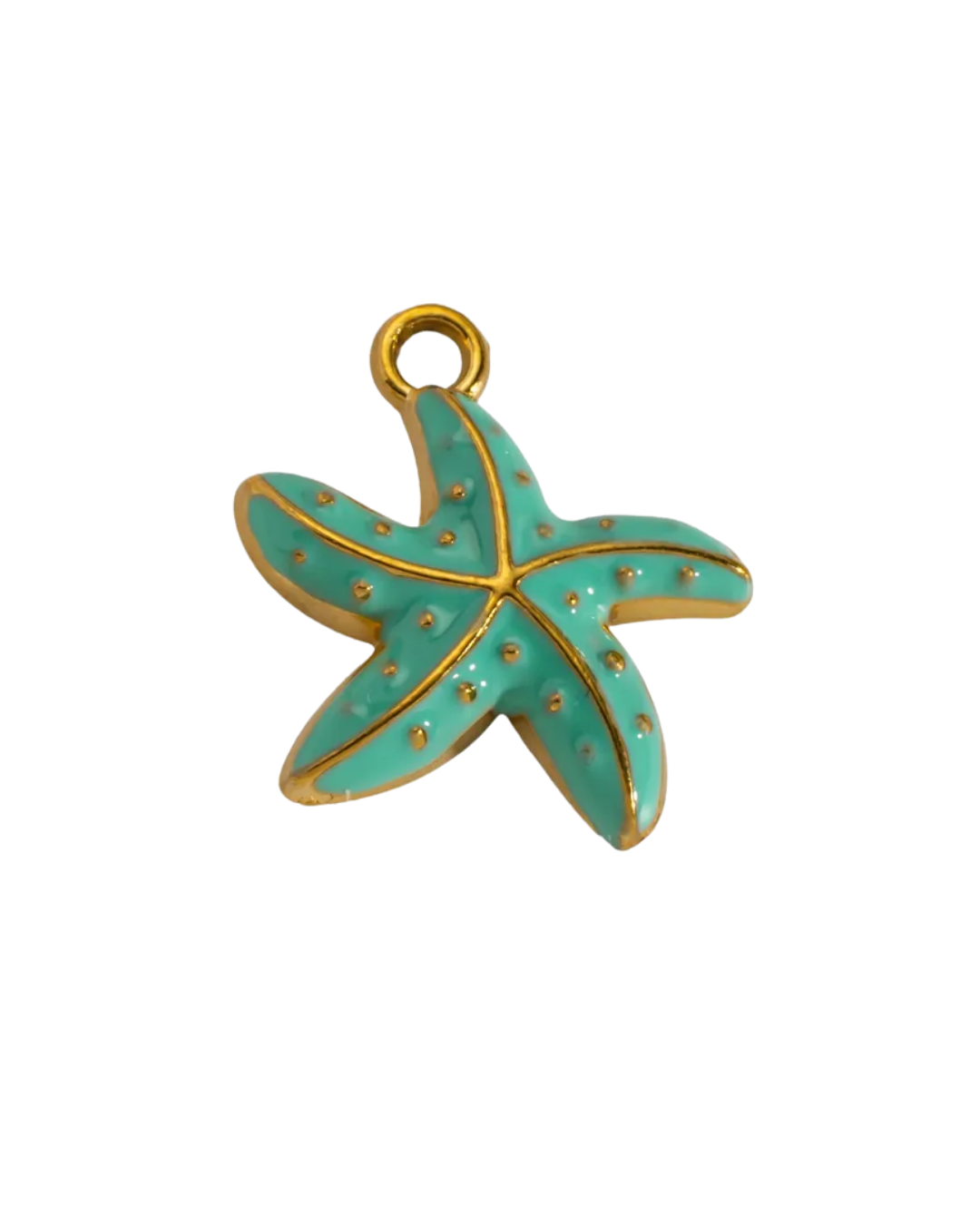Ocean Star Charm