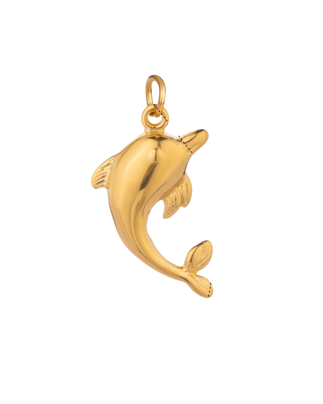 Dolphin Charm