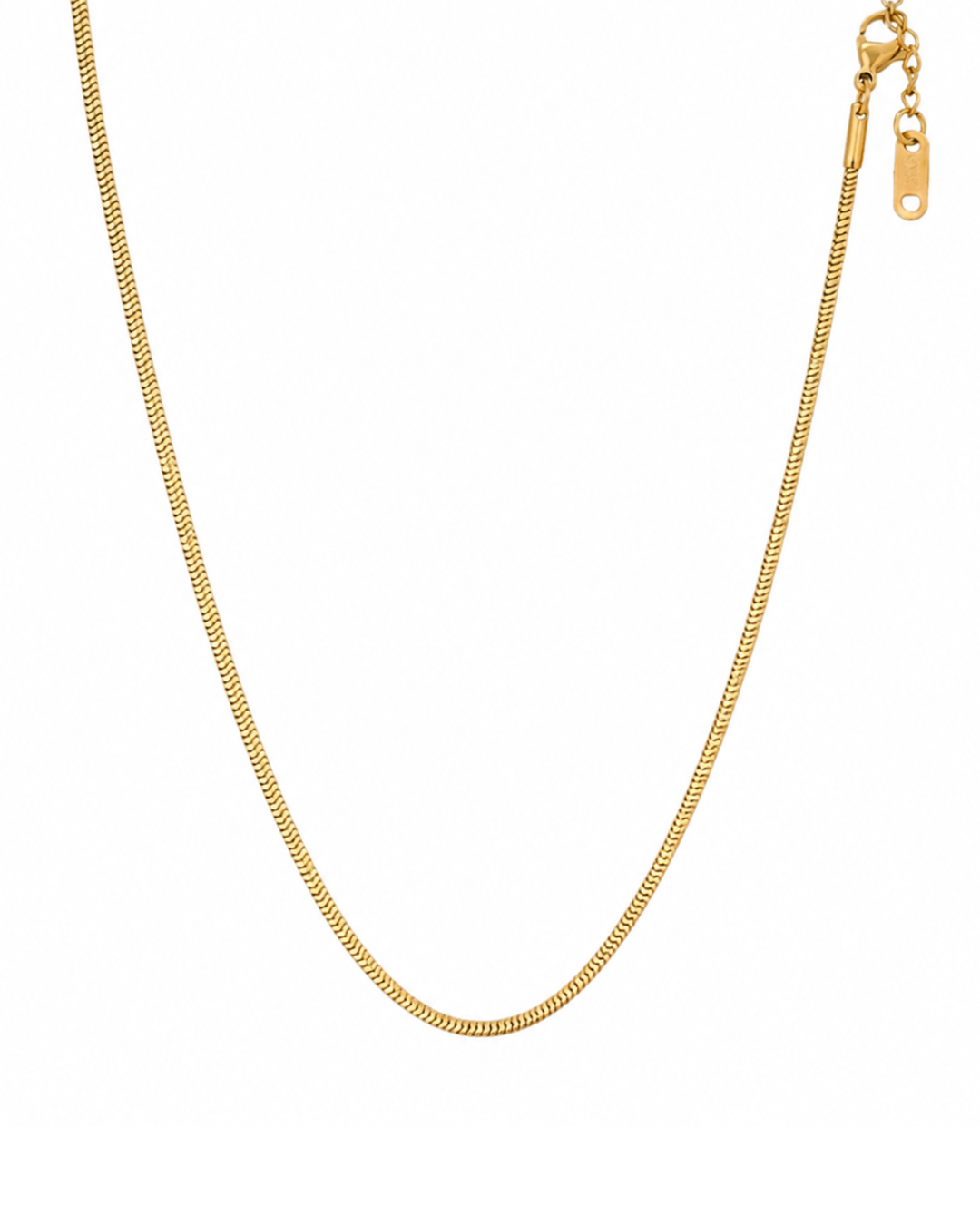 Thin Snake Chain Necklace