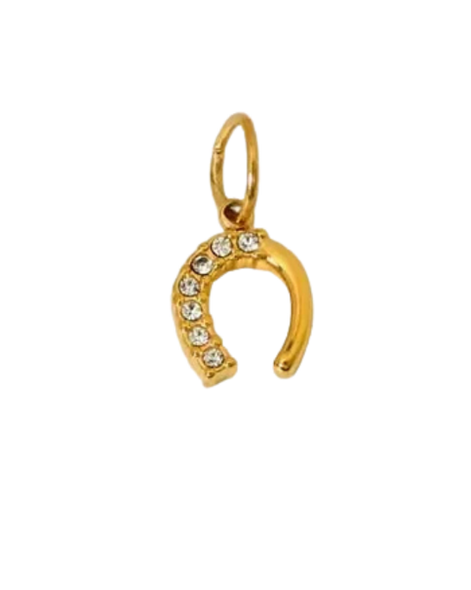 Lucky Horseshoe Charm