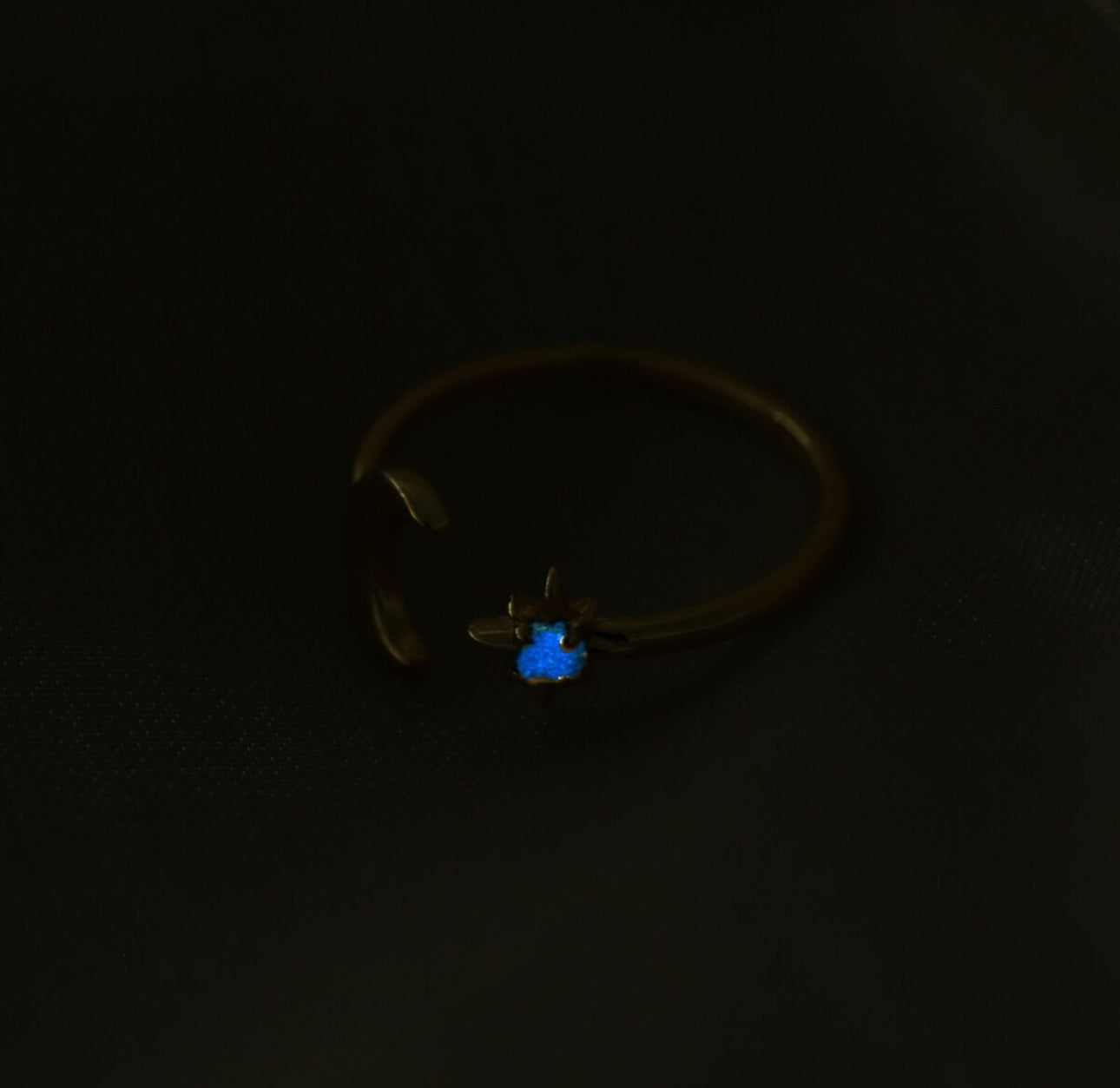 Lunar Solstice Ring