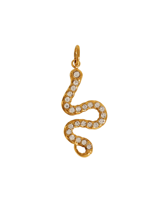 Snake Charm